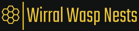 Wasp Nest Treatment Wirral
